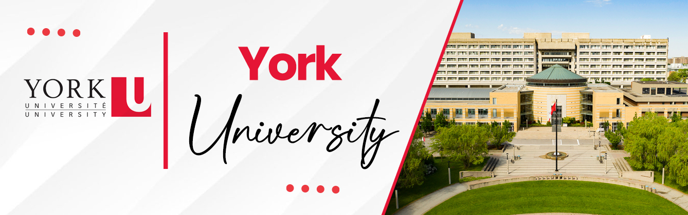 York University